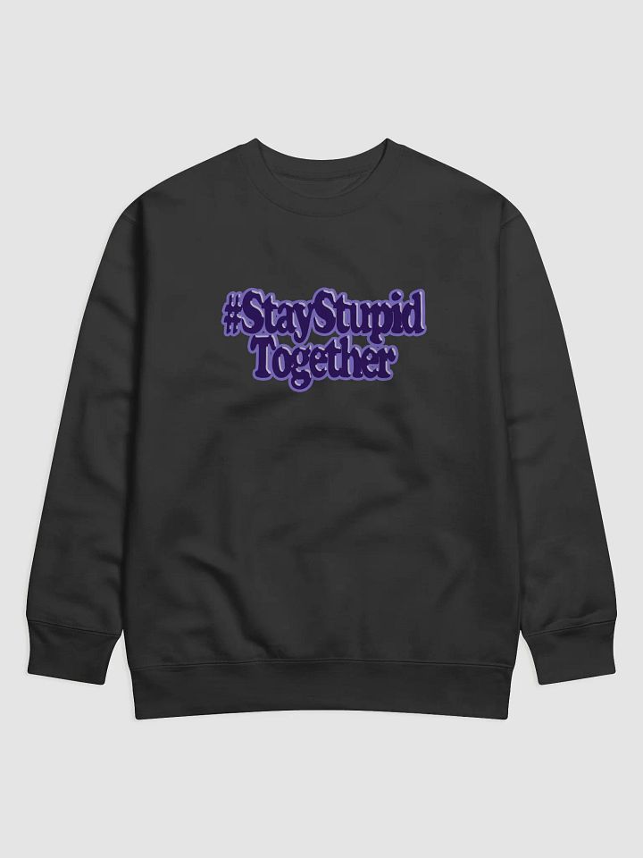 SST Purple Sweater product image (1)