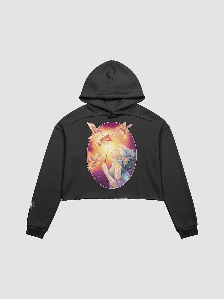 Triplets - SFA Crop Hoodie product image (25)