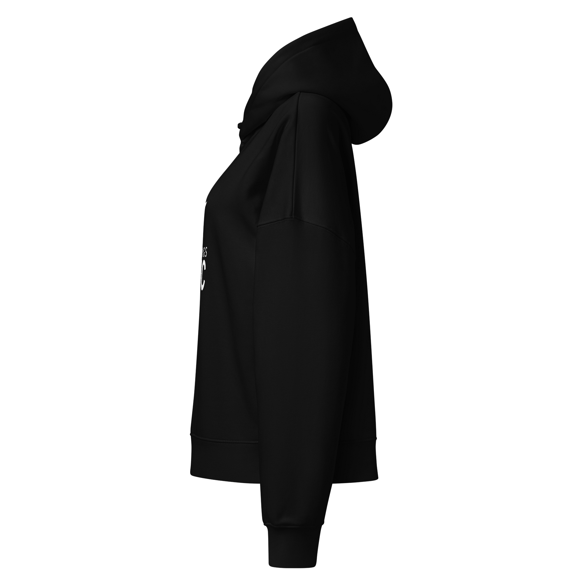 Sandy Springs Womens Hoodie product image (8)