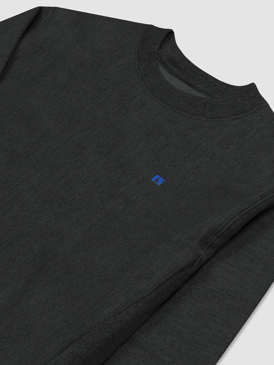 CS Champion SweatShirt product image (3)