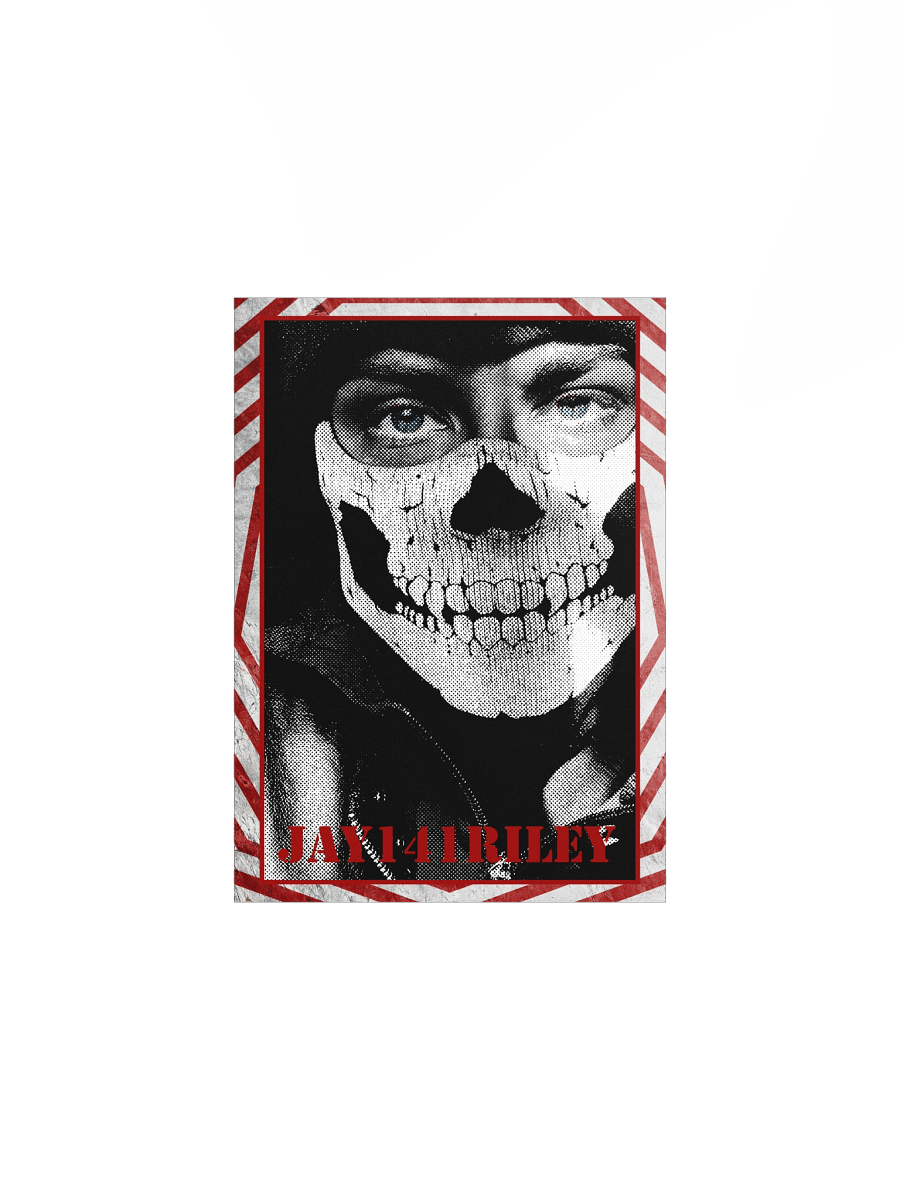 Halftone Jay Poster product image (3)