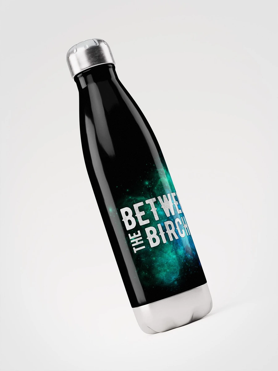 Between the Birches Trilogy Water Bottle // Stainless Steel V2 product image (3)