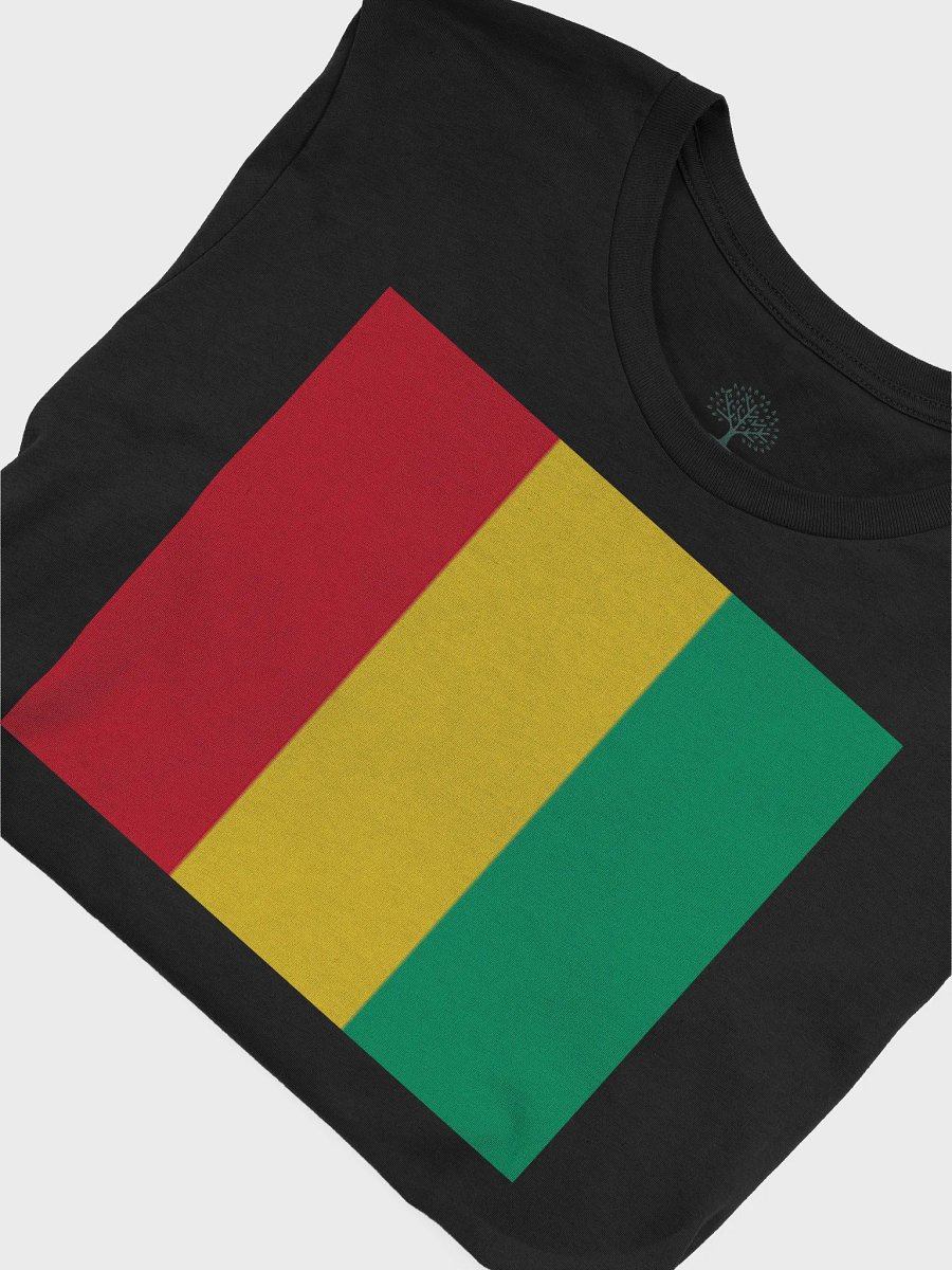 Exclusive Unisex Guinea Flag Graphic Tee by Graphic Grove product image (7)