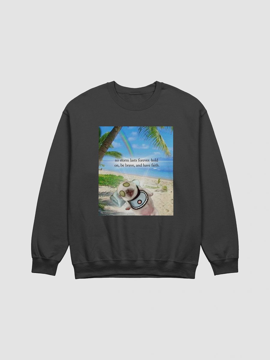 no storm lasts forever crewneck product image (1)