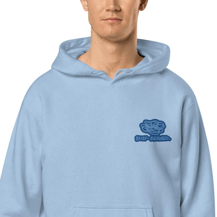 BUSY-BRAINED (L.C. creek design) embroidered pigment hoodie product image (1)