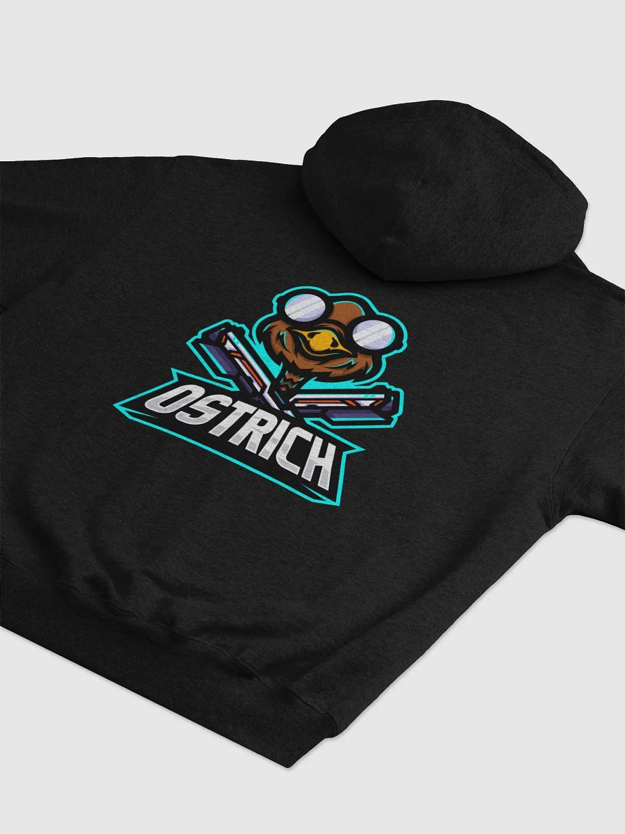Ostrich x Champion Hoodie product image (4)