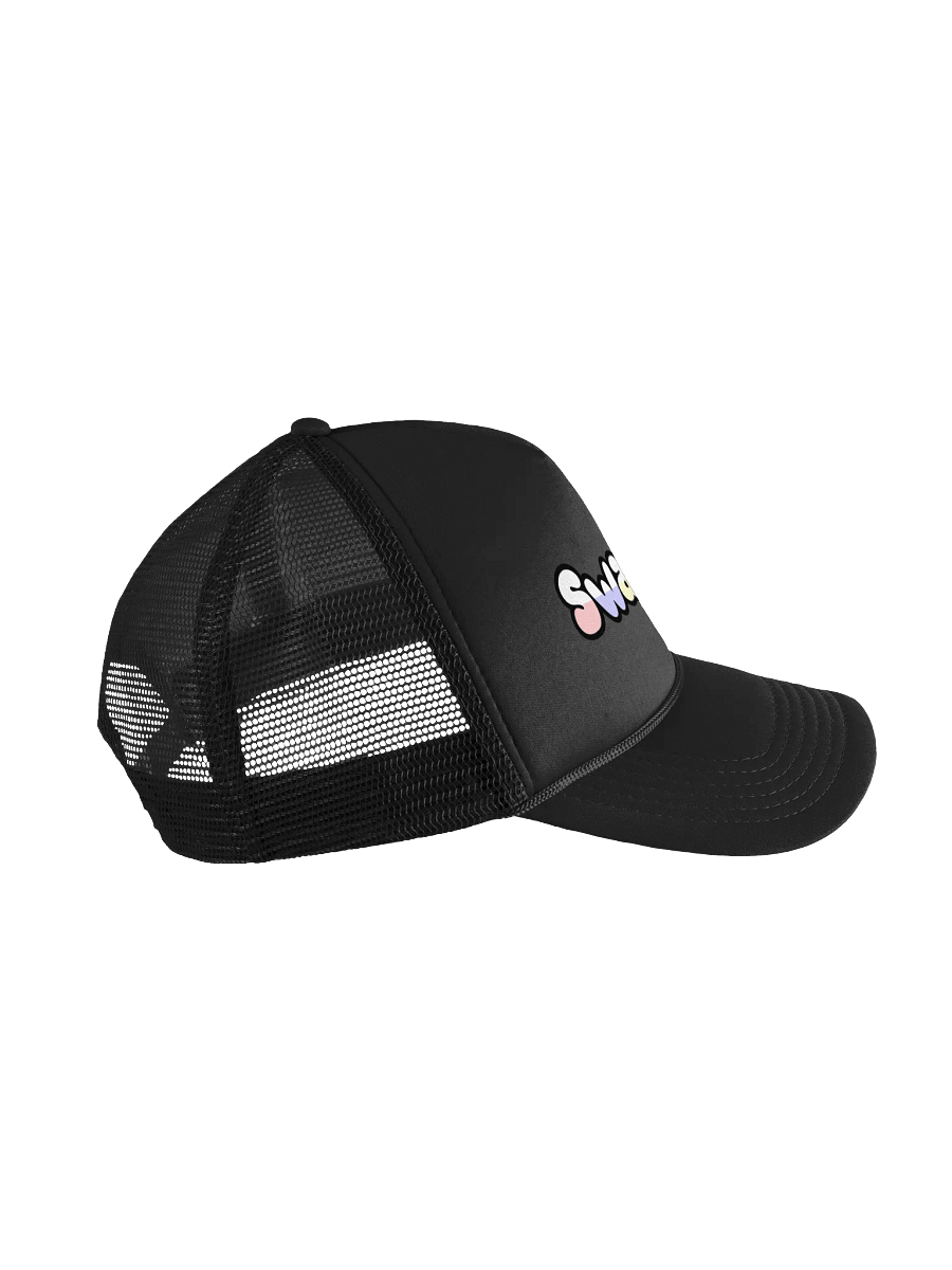 Swap Life Hat (Colored Logo) product image (3)