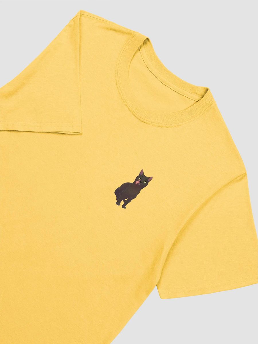 Raven logo T-shirt product image (24)
