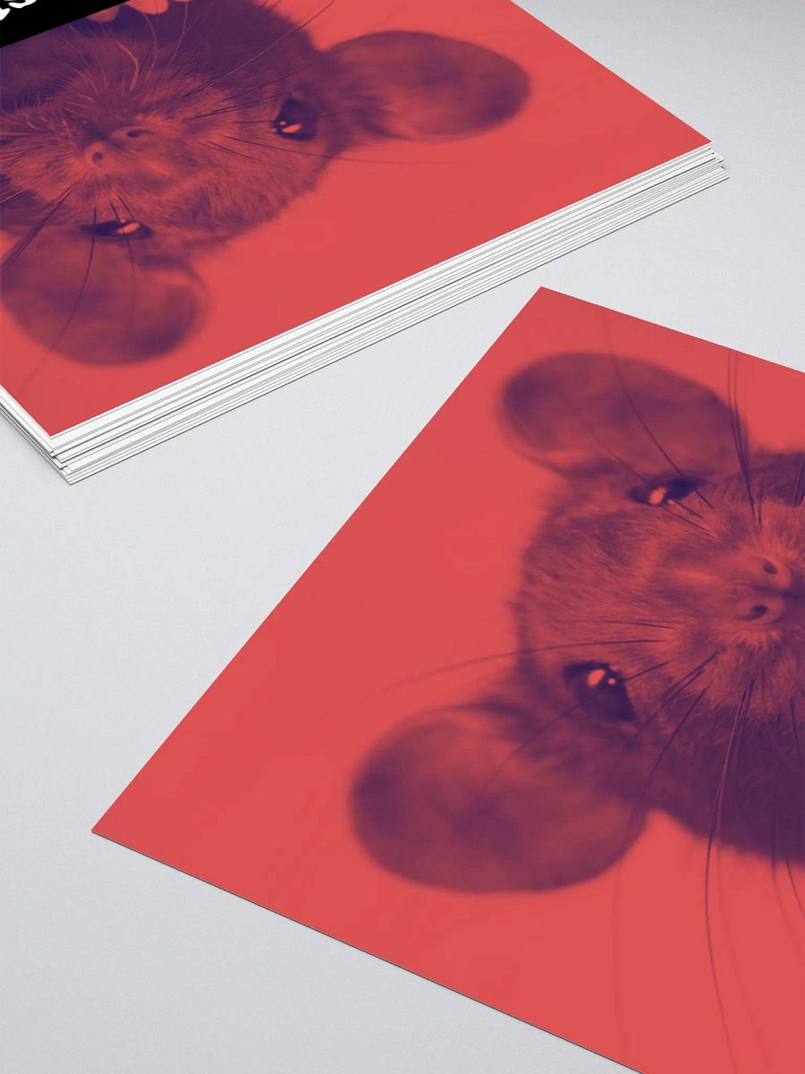 rat sticker product image (4)