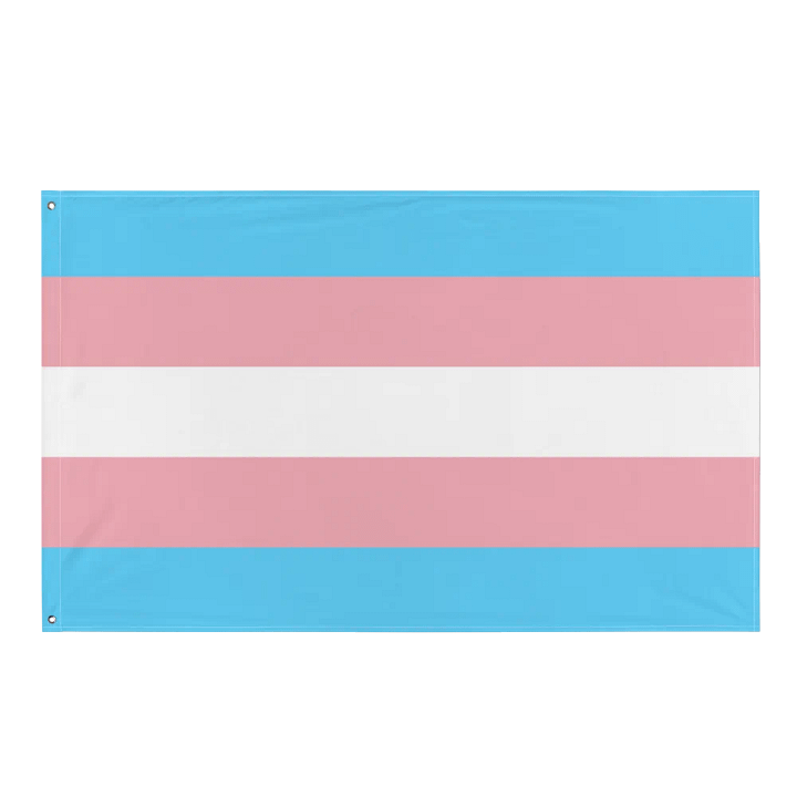 Trans Pride Flag product image (1)