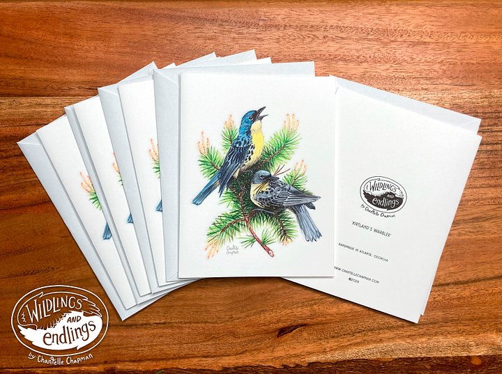 Kirtland's Warbler - Jack Pine Bird - Set of 5 A2 Notecards with Envelopes product image (1)