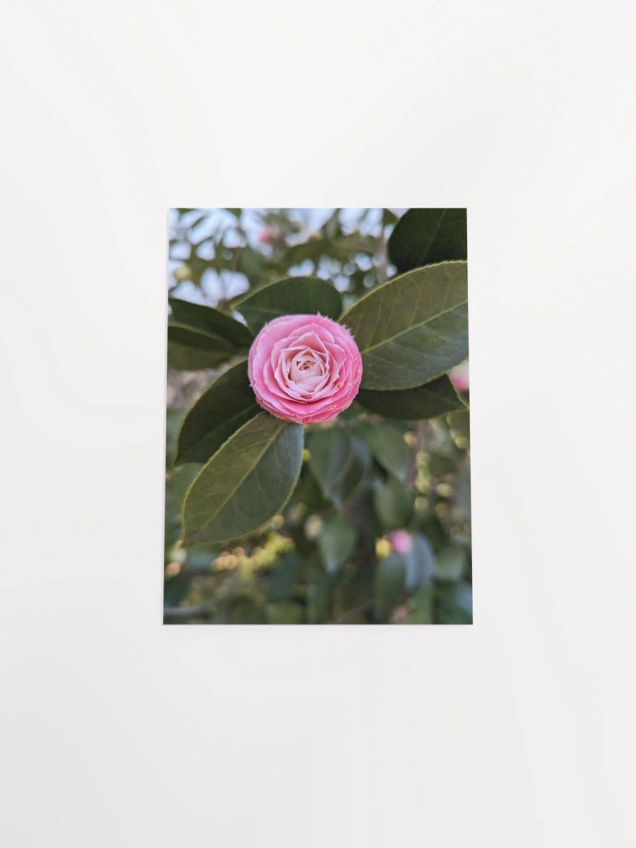Blooming Beauty Matte Poster product image (24)