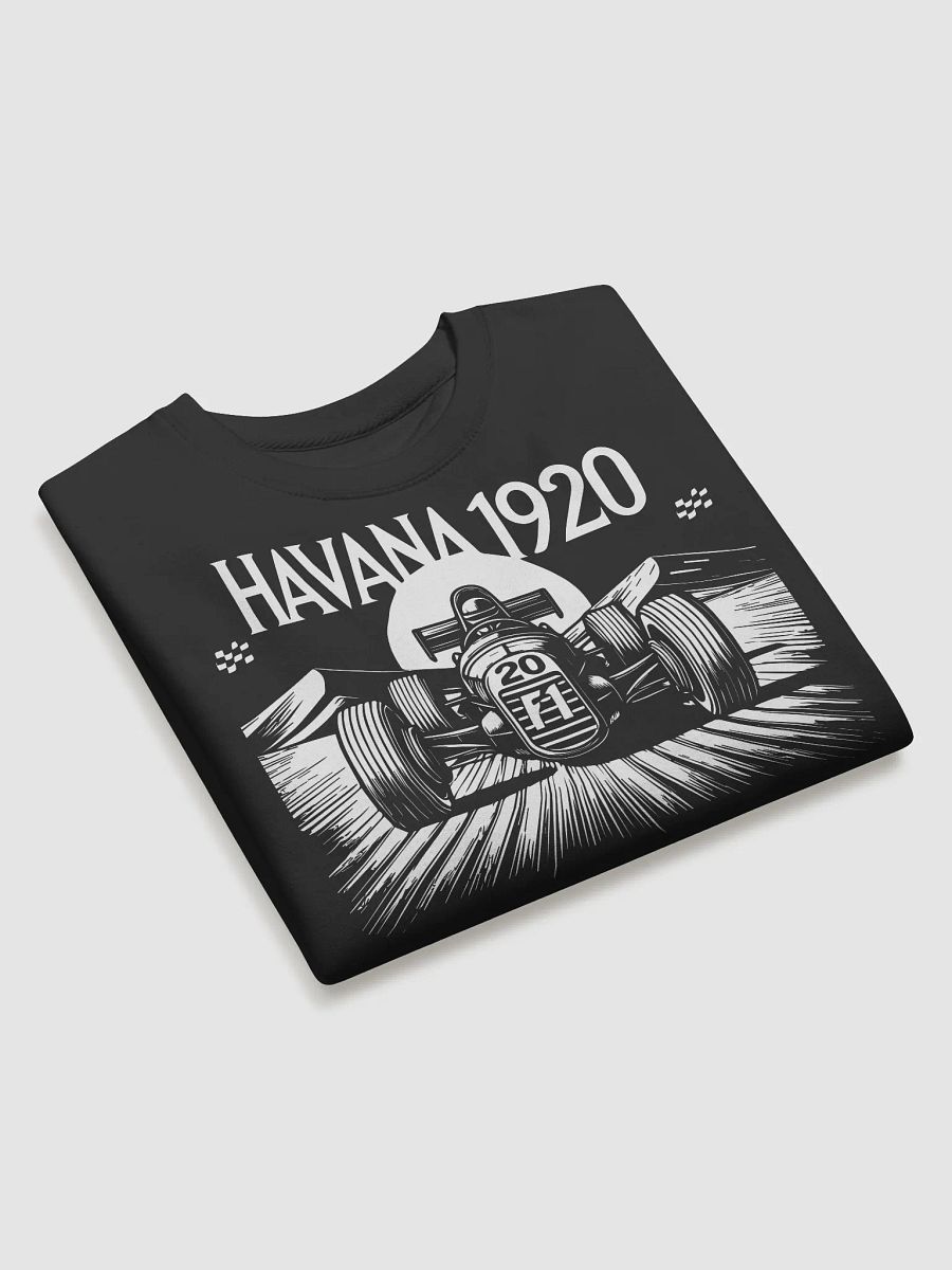 Vintage Havana 1920 Cotton Sweatshirt product image (2)