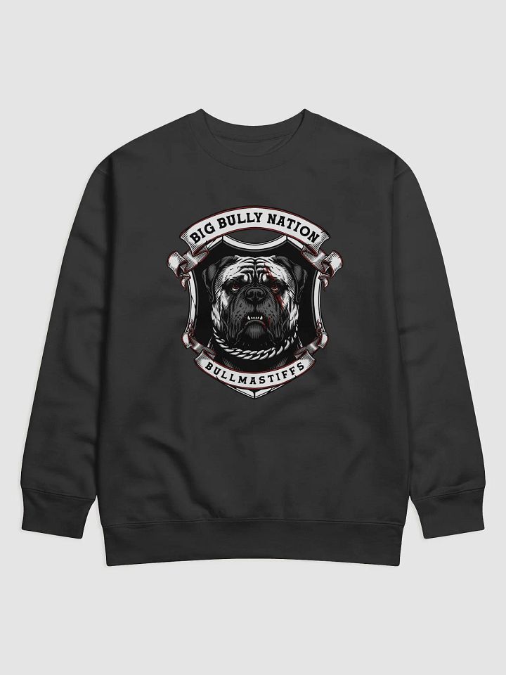 BBN Alter Ego Premium Sweatshirt product image (1)