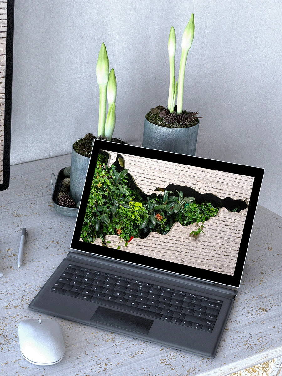 Plant Wall Computer, Phone & Tablet Wallpaper Pack product image (2)