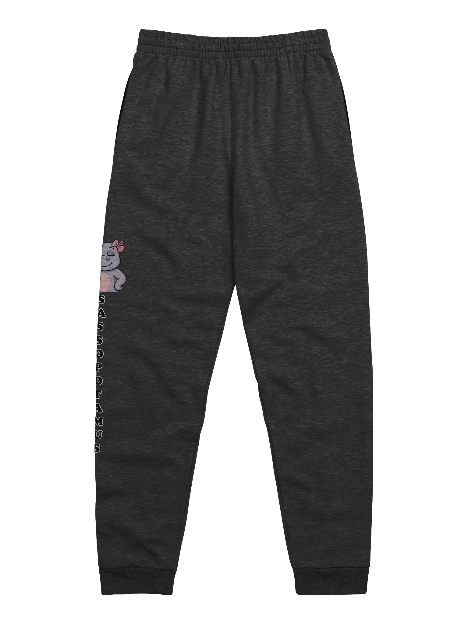 Sassopotamus Joggers product image (5)