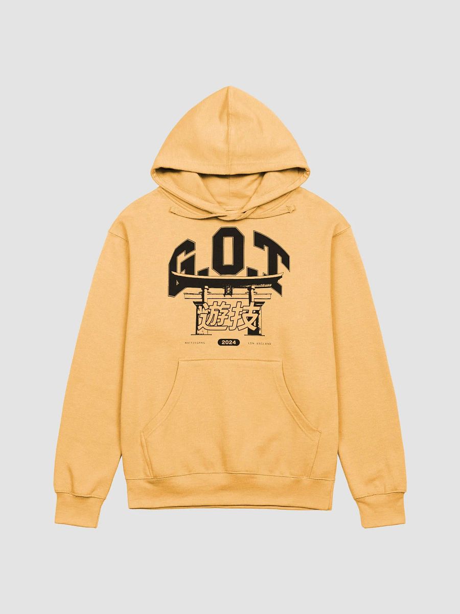 G.O.T VARSITY HOODIE product image (1)