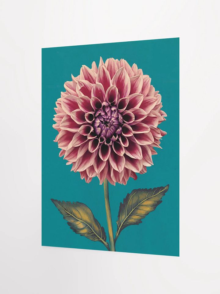 Dahlia Print product image (11)