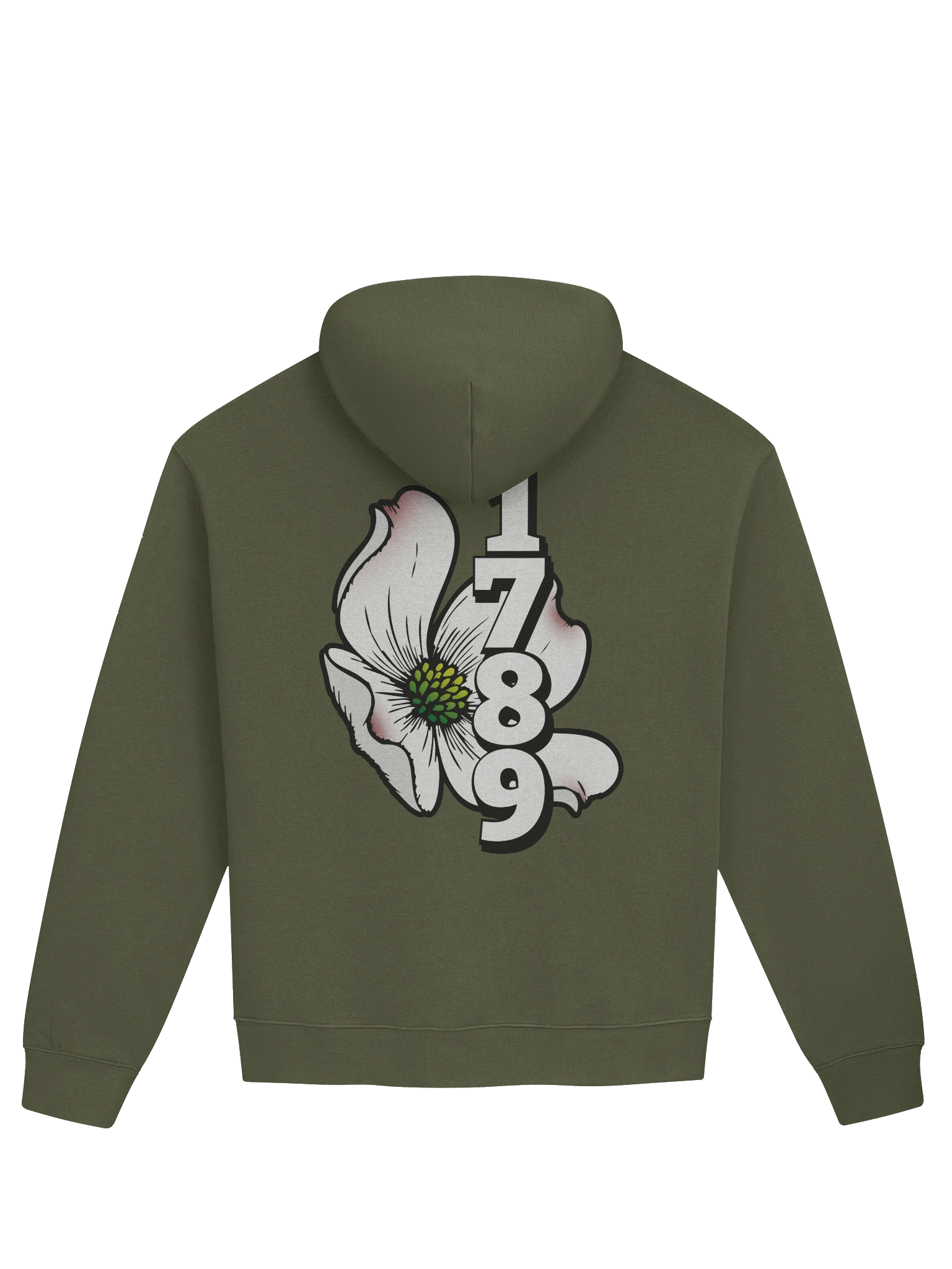 NC Dogwood '1789' - Unisex Oversized Hoodie product image (22)