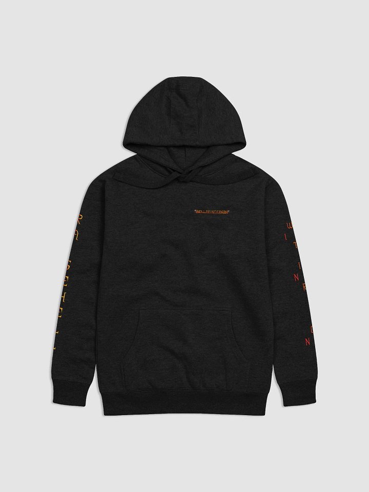 RAISE HELL WITHIN REASON HOODIE product image (1)