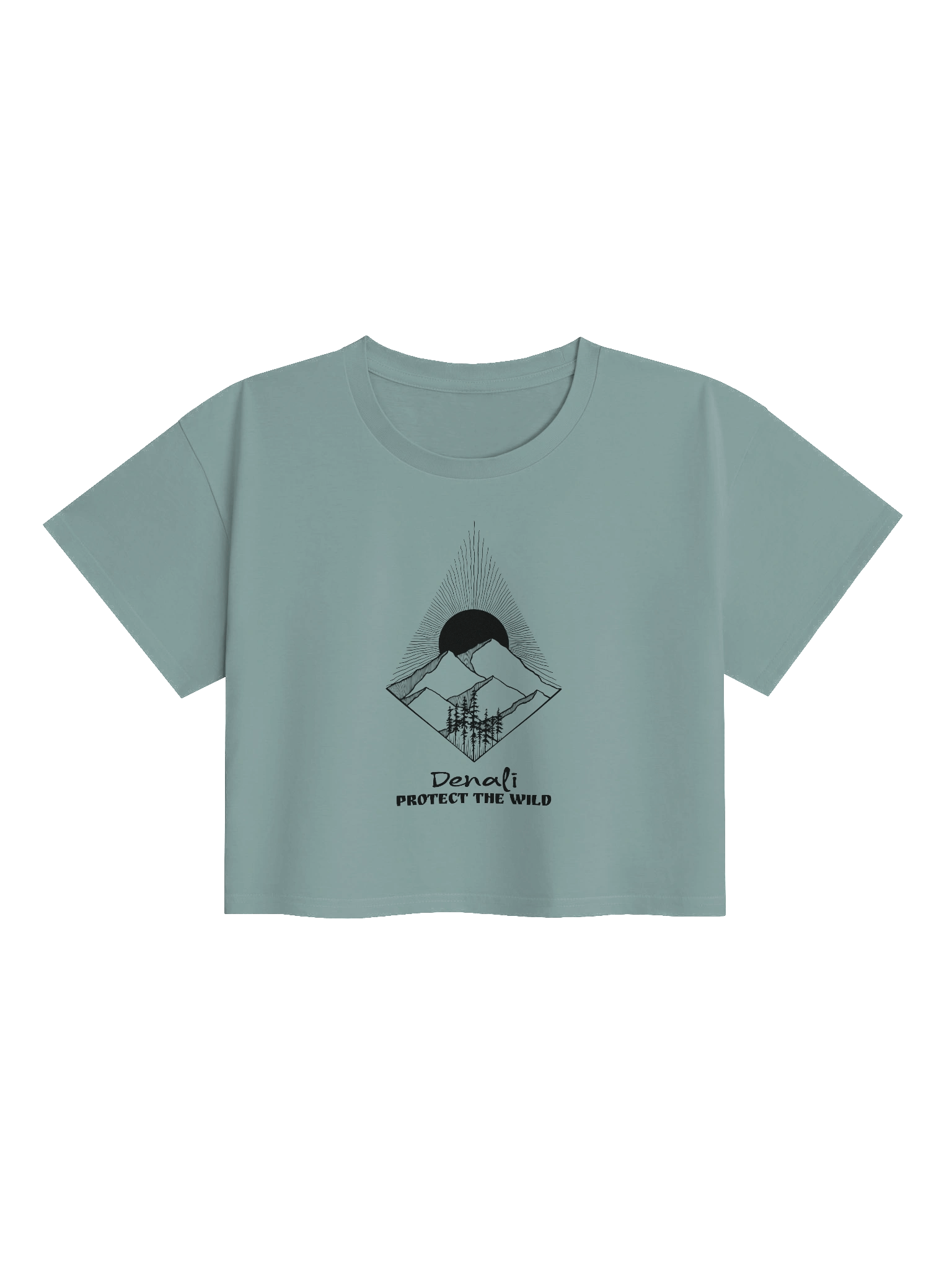 National Park Series Tee - Denali product image (1)