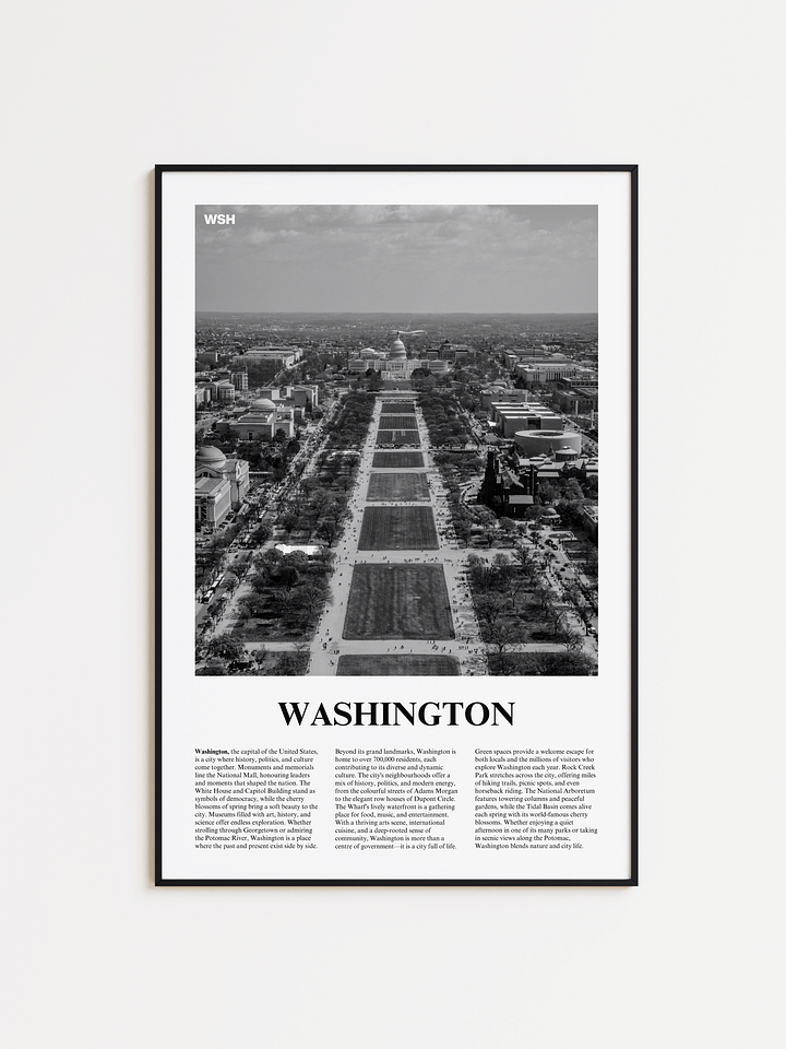 Washington 03 Newspaper Poster product image (1)