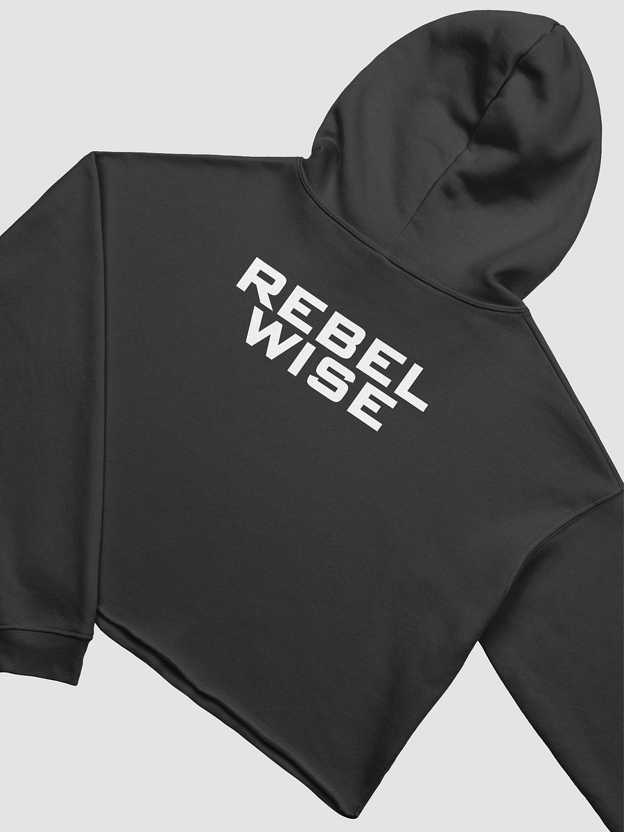 Wise Crop Hoodie product image (16)