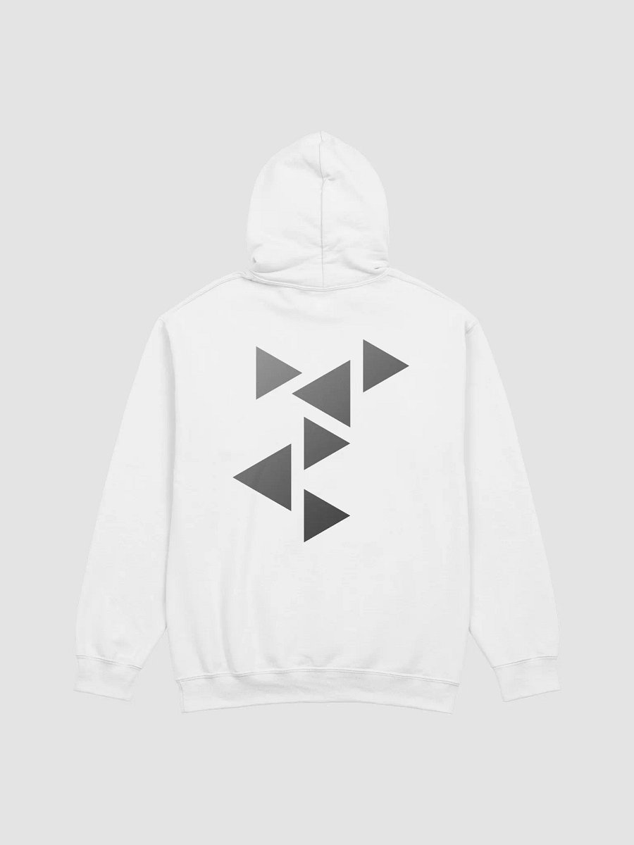 ISOLATION — 2019 SQUAD — CLASSIC HOODIE — B&W TRIANGLES product image (4)