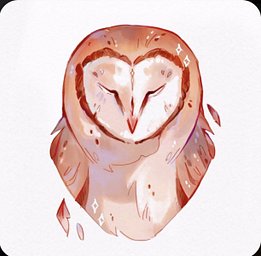 Owl's of the Community