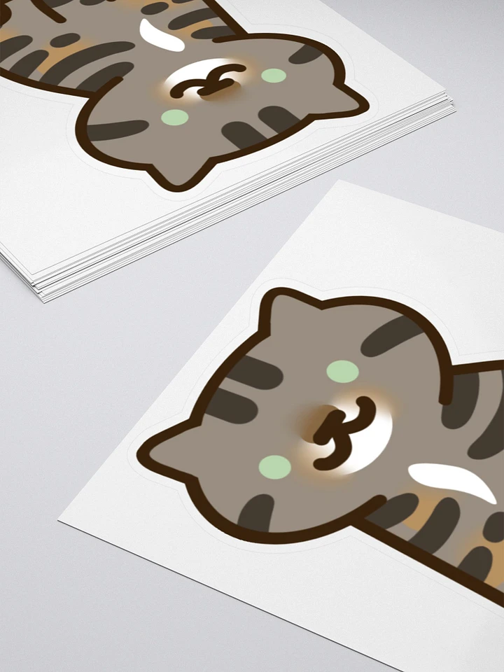 Credit Cat Sticker product image (2)