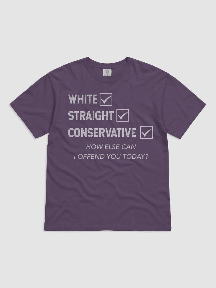 White Straight Conservative How Else Can I Offend You Today Shirt product image (1)