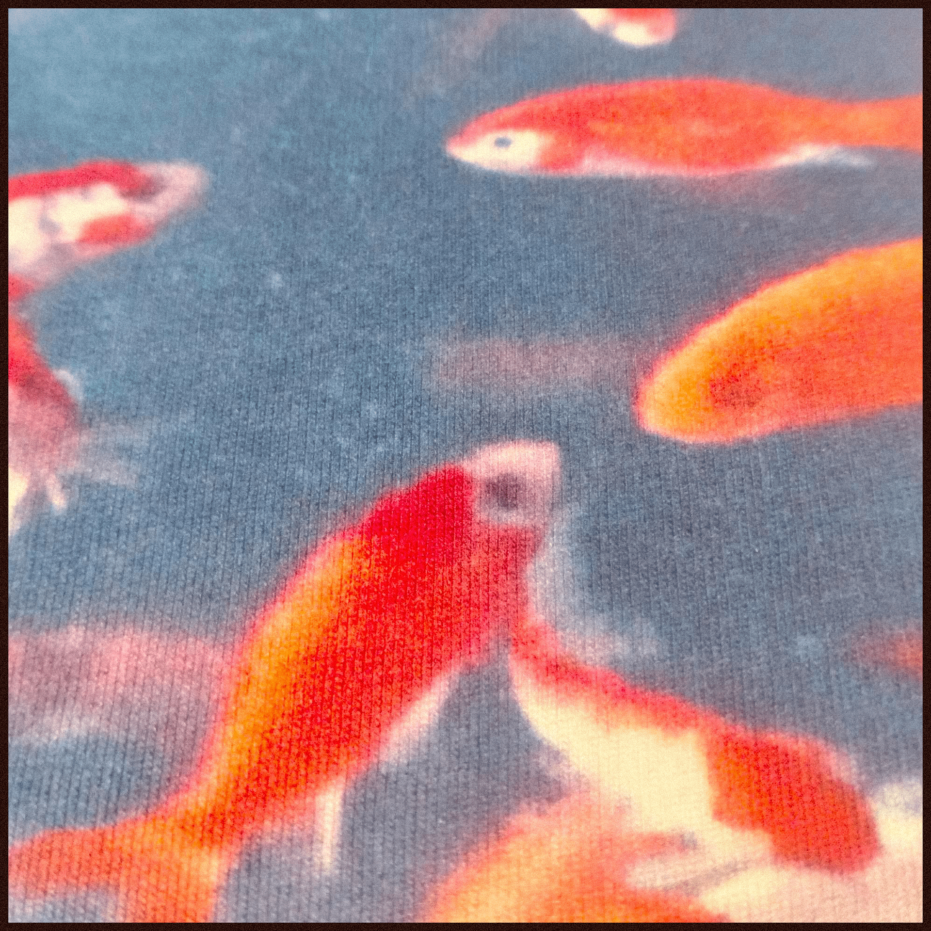 GOTSTAHAVVTHIS SHIRT. product image (5)