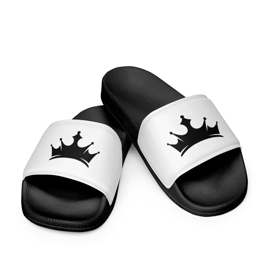 Talking Pounds SLIDDERS product image (9)
