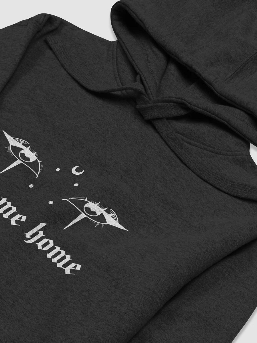 Welcome Home Hoodie product image (3)