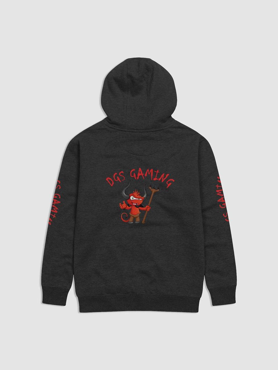 DGS hoodie with logo on arms back and front product image (11)