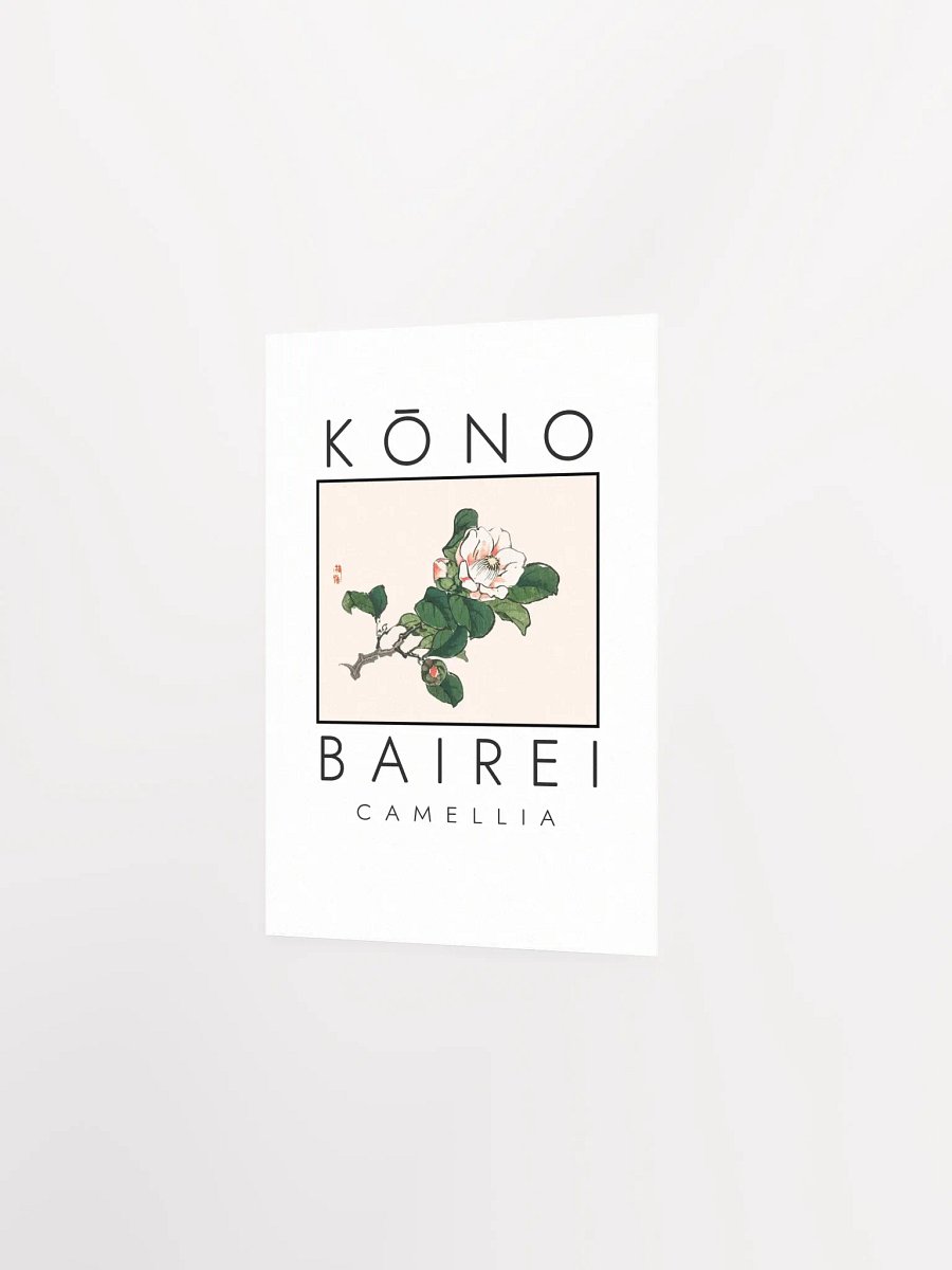 Kono Bairei Camellia Poster product image (3)