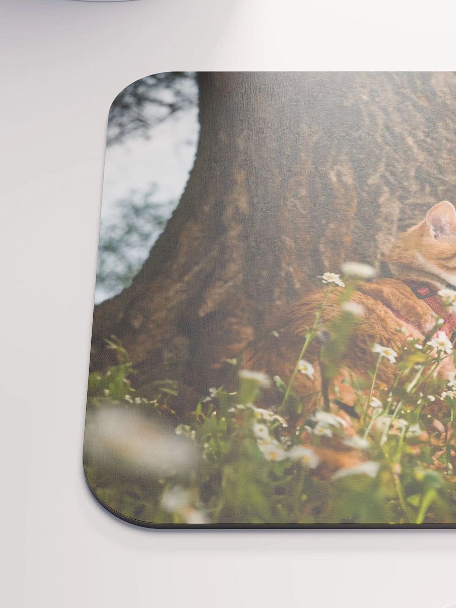 Mr Mouse Pad product image (6)
