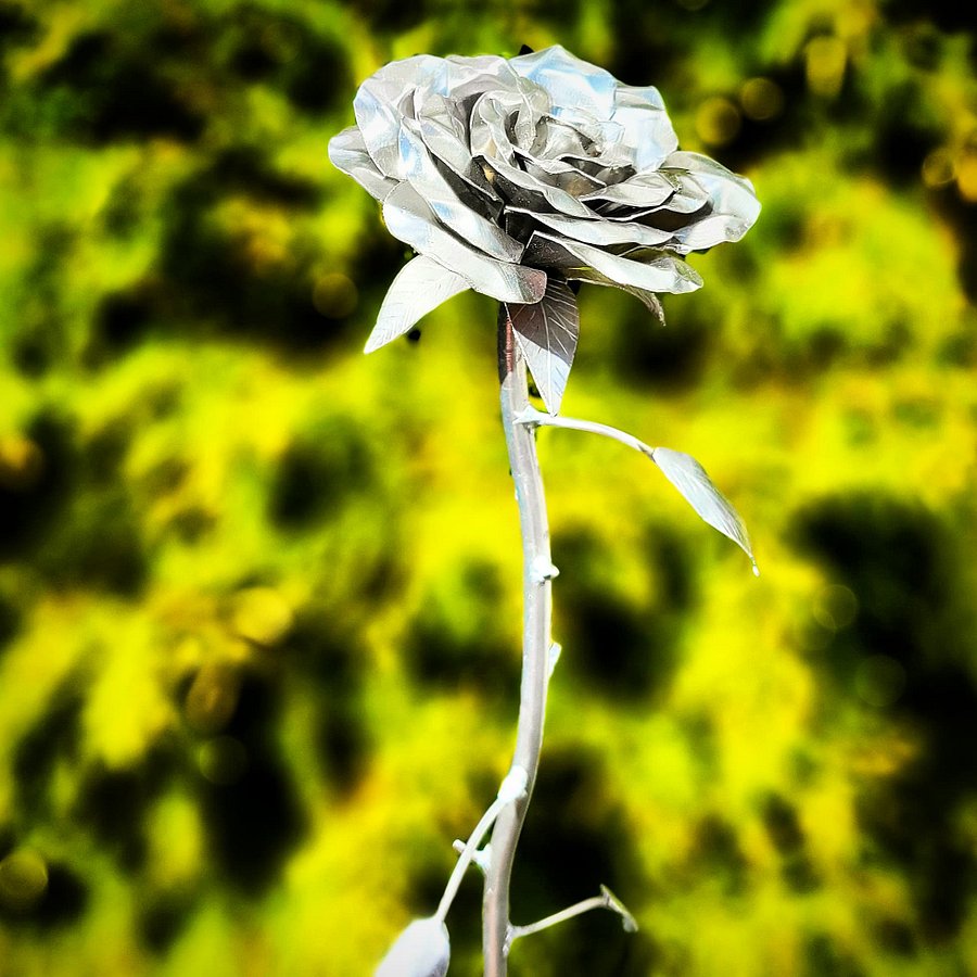 Flower product image (1)