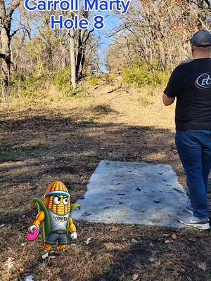 Oh what a lovely little skip off the stairs!  #CornfedDG🌽 #ThrowYourPassion #discgolf #discgolflife #buzzz