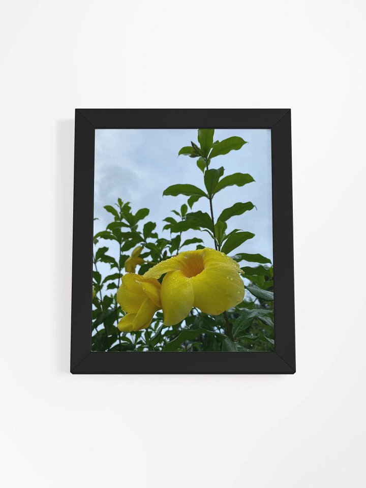 Yellow Bell Flower product image (2)