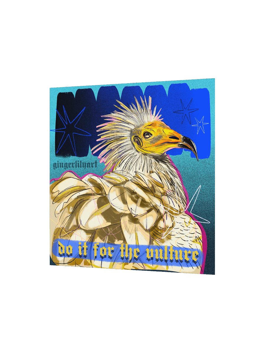 egyptian vulture print product image (3)