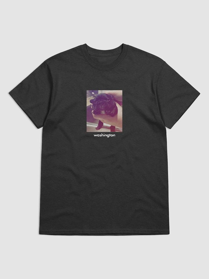 WASHINGTON TEE product image (1)