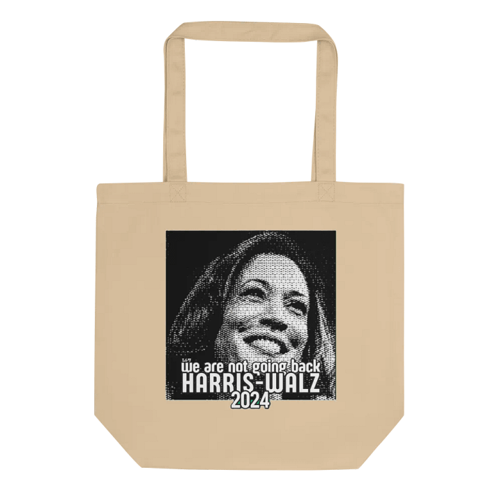HARRIS-WALZ 2024 WE ARE NOT GOING BACK product image (1)