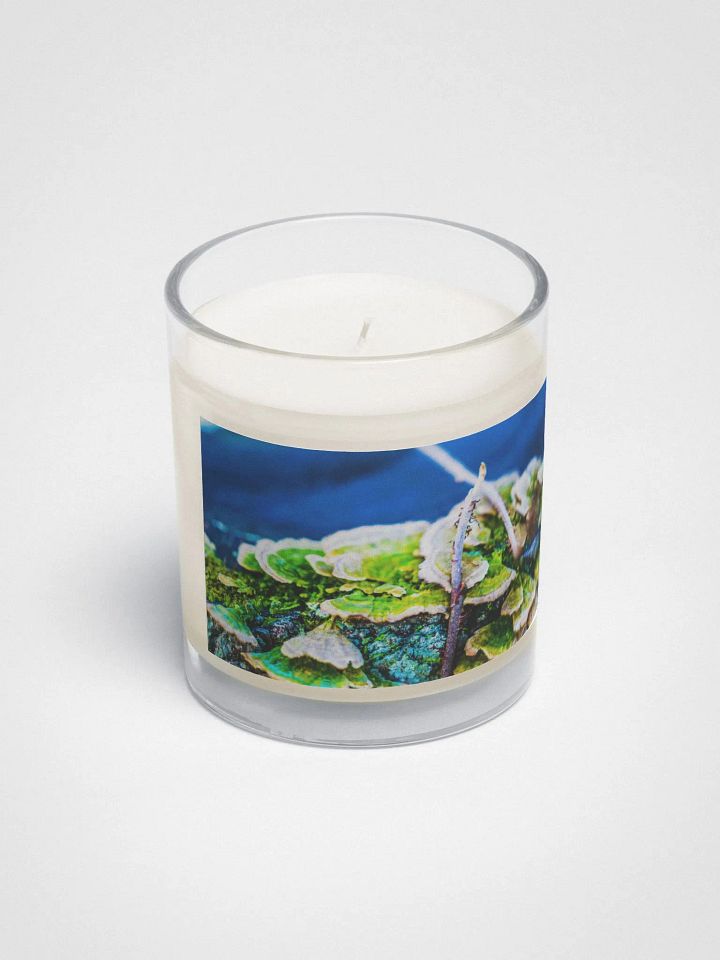 Vibrant Soy Candle product image (2)