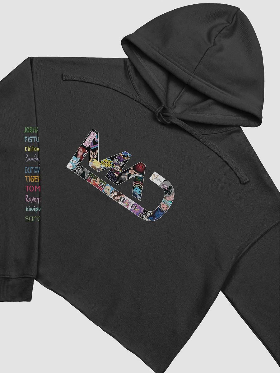 2023 Community Crop Hoodie product image (5)