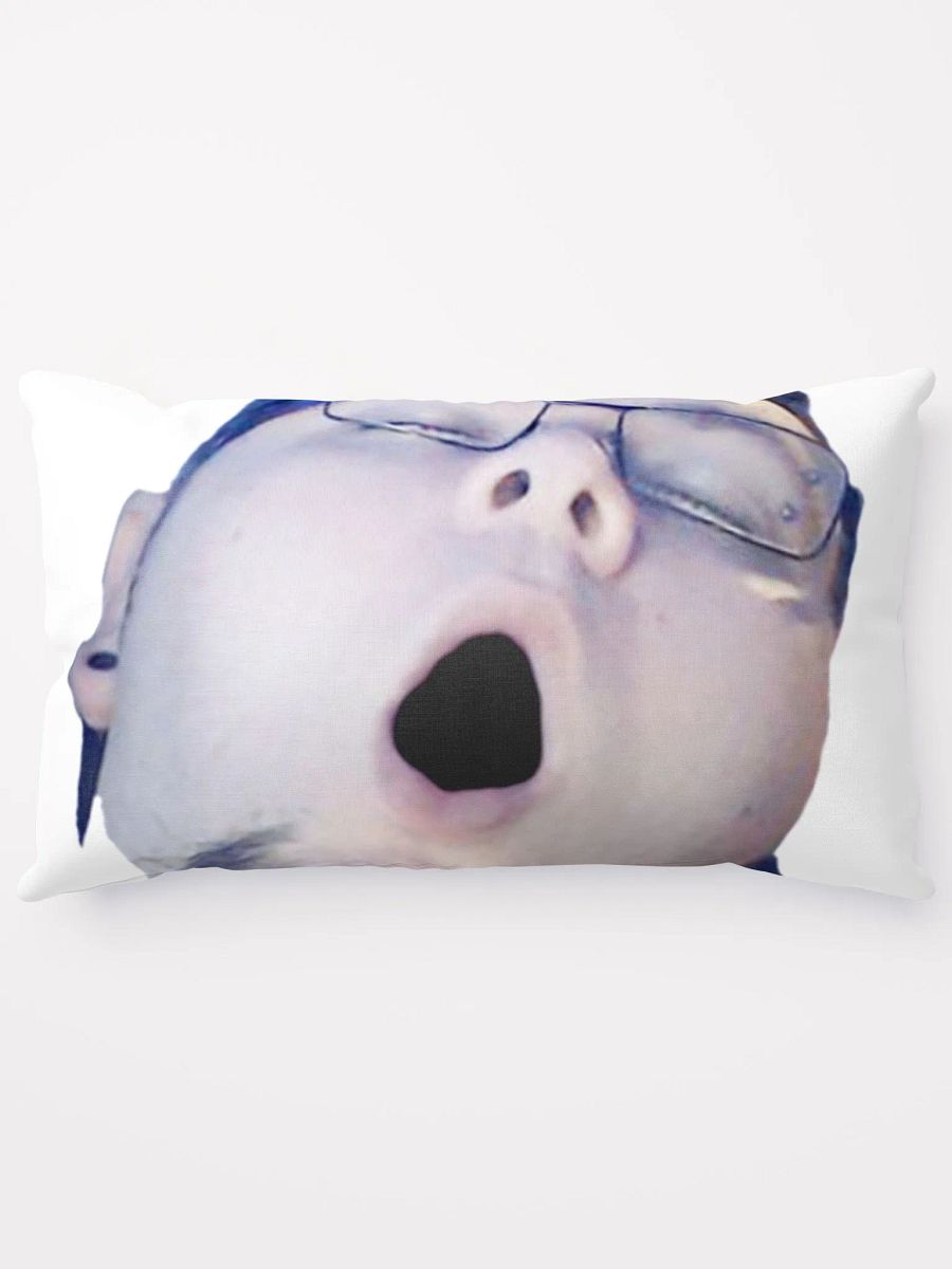 Beargasm Pillow product image (13)