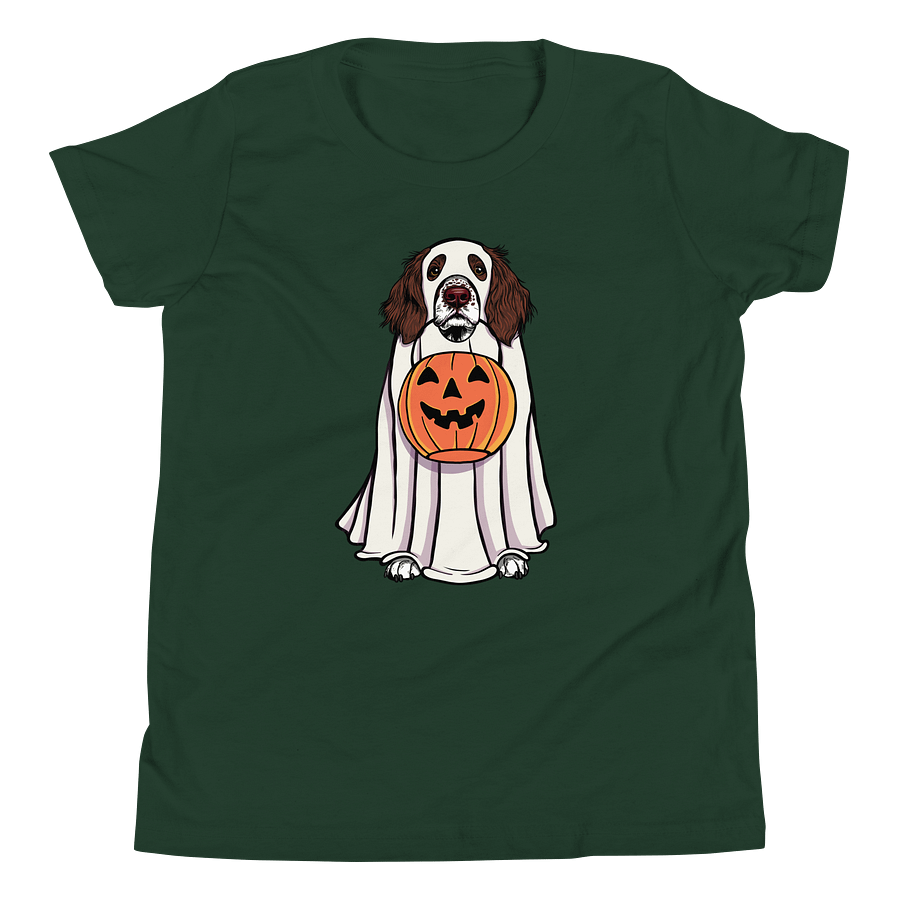 Halloween Springer Spaniel(Liver) Youth T-Shirt product image (5)