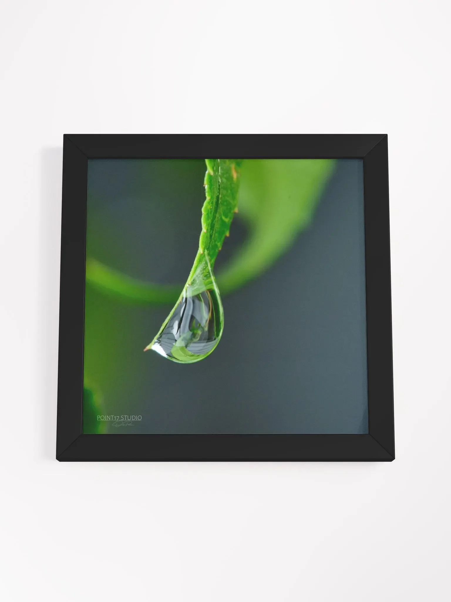 Dew Gems #4 - Framed Print product image (4)