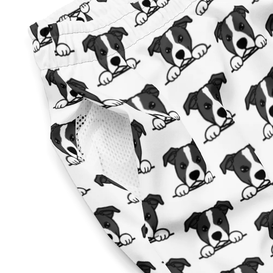 HOPPER SWIMSHORTS product image (3)