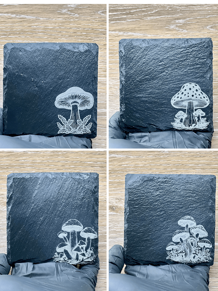 Mushroom Medley product image (1)